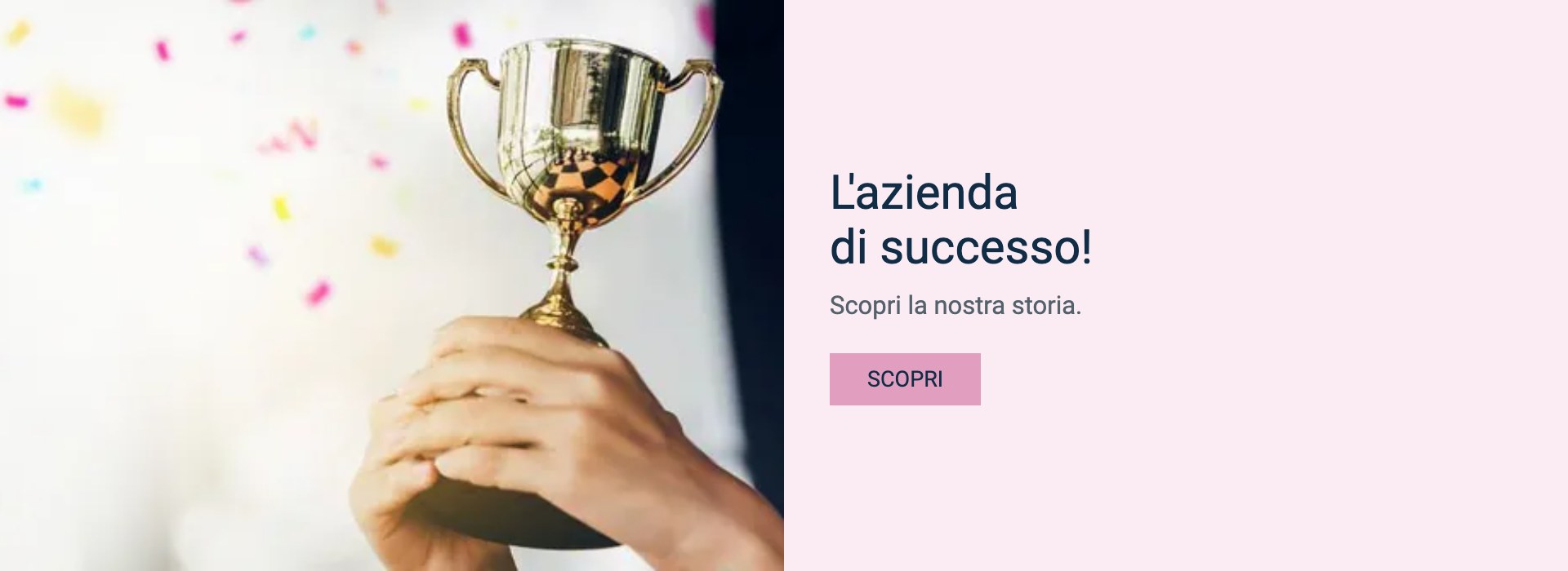 L'azienda di successo: scopri la storia di Dalmesse